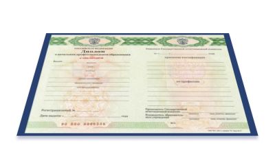 Диплом училища 2011-2013